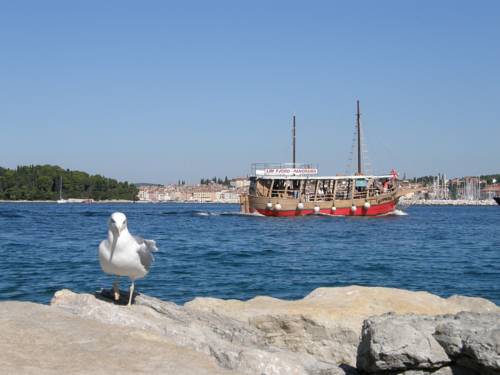 Rovinj Croacia Último Minuto Código de Descuento Booking.com