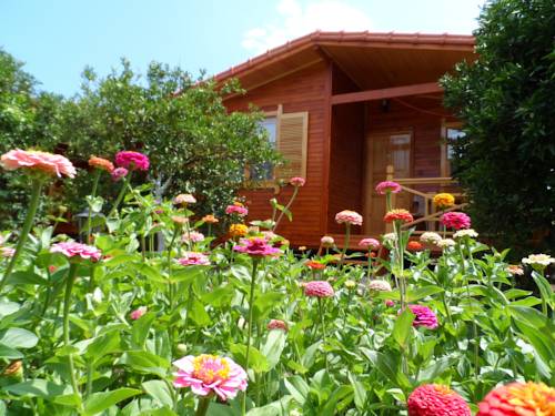 Cirali Turkey Last Minute Discount Code Booking.com