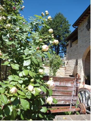 San Gimignano Italy Last Minute Discount Code Booking.com