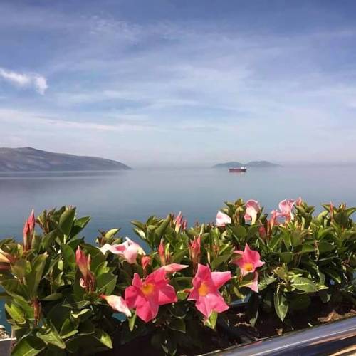 Vlorë Italien Last-Minute-Rabattcode Booking.com