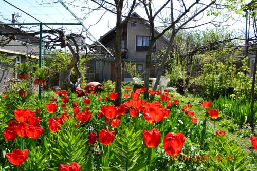 Telavi Georgia Last-Minute-Rabattcode Booking.com
