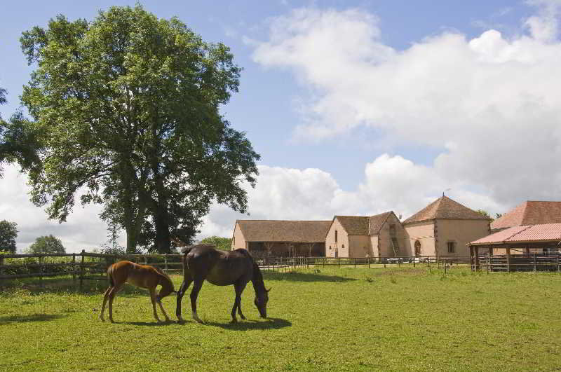 Ygrande France Last Minute Discount Code Agoda.com