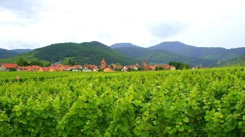 Sigolsheim France Last Minute Discount Code Booking.com