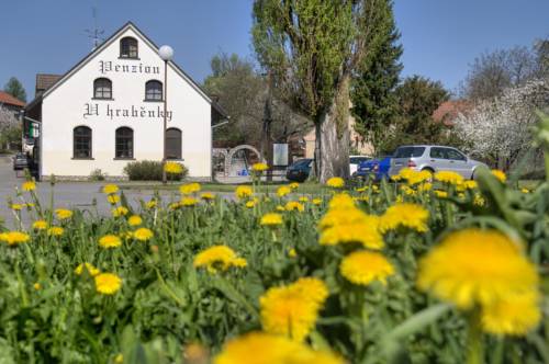 Petrovice Czech republic Last Minute Discount Code Booking.com