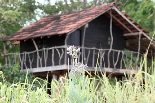 Habarane Sri Lanka Last Minute Discount Code Booking.com