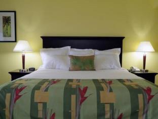Charlotte Amalie U.S. Virgin Islands Last Minute Discount Code Agoda.com