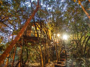 Karatara South Africa Last Minute Discount Code Agoda.com