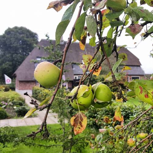 Someren Niederlande Last-Minute-Rabattcode Booking.com