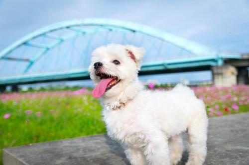 Yilan Taiwan Last Minute Discount Code Agoda.com