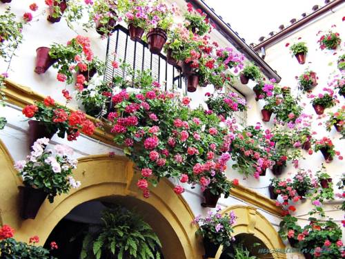 Marbella Spain Last Minute Discount Code Booking.com