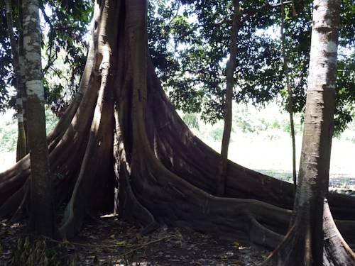Pucallpa Peru Last Minute Discount Code Booking.com