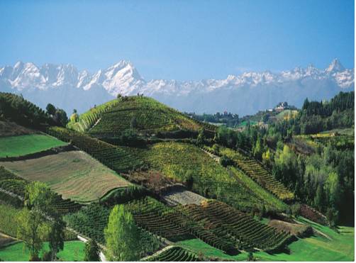 Fraz. Roreto di Cherasco Italien Last-Minute-Rabattcode Booking.com