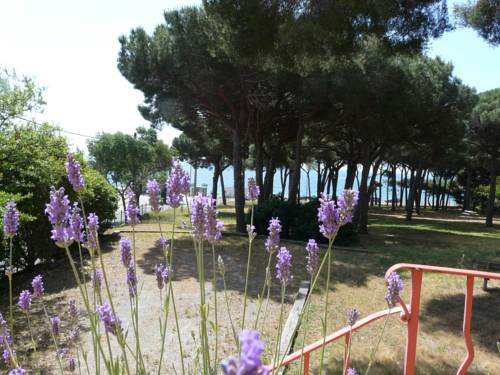 Sainte Maxime France Last Minute Discount Code Booking.com