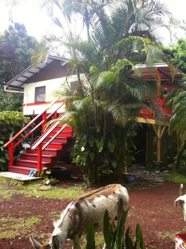 Orchidlands Estates (HI) United States Last Minute Discount Code Agoda.com