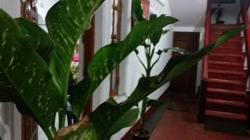 Trincomalee Sri Lanka Last Minute Discount Code Booking.com