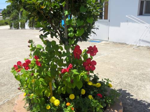 Bar Montenegro Laatste minuut Kortingscode Booking.com
