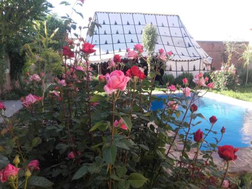 El Bour Morocco Last Minute Discount Code Agoda.com
