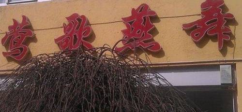 Xinzhou China Last-Minute-Rabattcode Booking.com