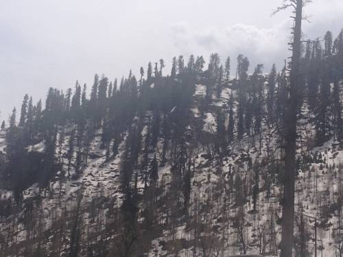 Haripur India Last Minute Discount Code Booking.com
