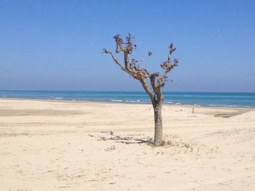 Giulianova Italy Last Minute Discount Code Booking.com