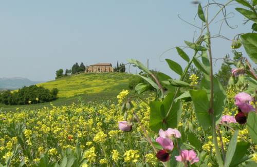 Pienza Italy Last Minute Discount Code Booking.com