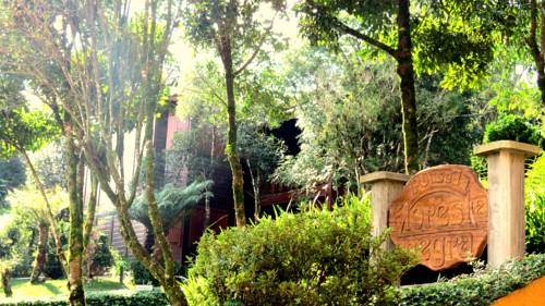 Canela Brazil Last Minute Discount Code Booking.com