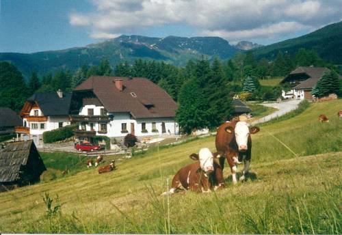 Mariapfarr Austria Last Minute Discount Code Booking.com