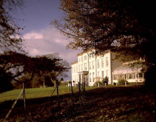 Malve Irland Last-Minute-Rabattcode Booking.com