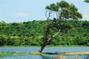 Sigiriya Sri Lanka Last Minute Discount Code Agoda.com
