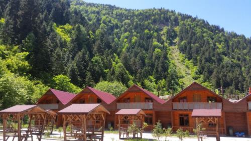 Uzungol Turkey Last Minute Discount Code Agoda.com