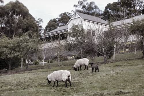 Huonville Australia Last Minute Discount Code Booking.com