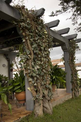 Prado del Rey Spain Last Minute Discount Code Booking.com