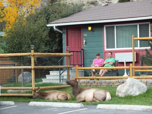 Gardiner (MT) United States Last Minute Discount Code Agoda.com