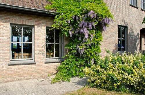Ichtegem Belgium Last Minute Discount Code Booking.com