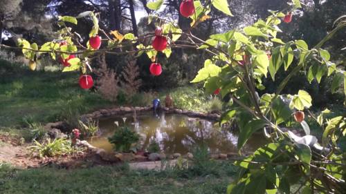 Vejer de la Frontera Spanien Last-Minute-Rabattcode Booking.com