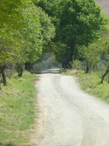 Bloemendal South Africa Last Minute Discount Code Booking.com