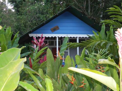 Puerto Viejo Costa Rica Last Minute Discount Code Booking.com