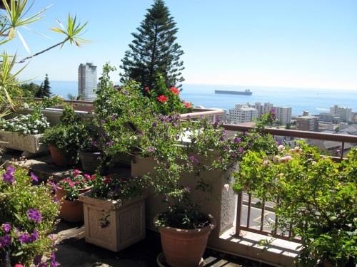 Cape Town South Africa Last Minute Discount Code Booking.com