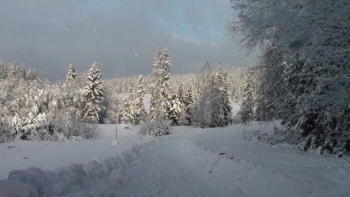 Oravská Polhora Slovakia Last Minute Discount Code Booking.com