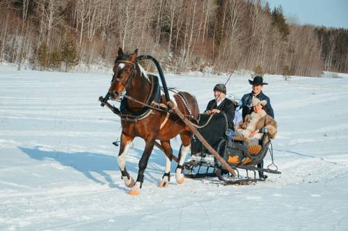 Strugi Village Russland Last-Minute-Rabattcode Booking.com