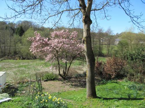 Walcourt Belgium Last Minute Discount Code Booking.com