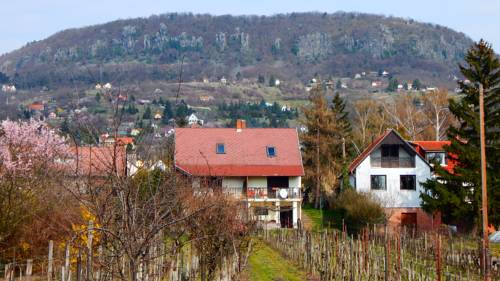 Badacsonytördemic Hungary Last Minute Discount Code Booking.com