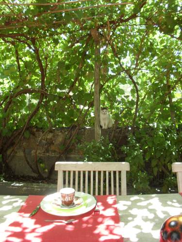 Vila de Rei Portugal Last-Minute-Rabattcode Booking.com