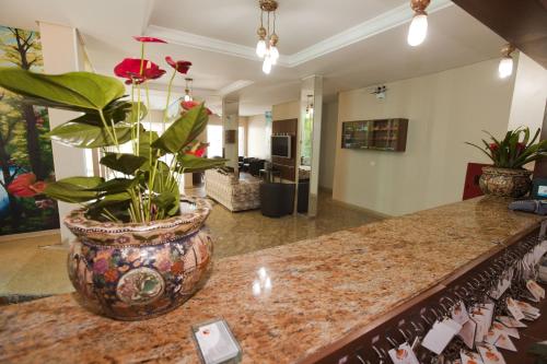Piracicaba Brazil Last Minute Discount Code Agoda.com