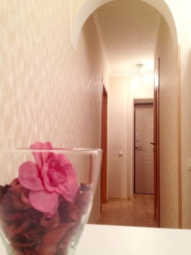 Istra Russia Last Minute Discount Code Booking.com