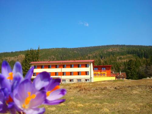 Žiar Slovakia Last Minute Discount Code Booking.com