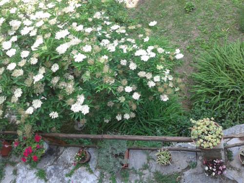 Ormea Italy Last Minute Discount Code Booking.com