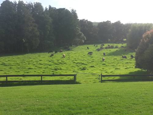 Mangawhai New Zealand Last Minute Discount Code Booking.com