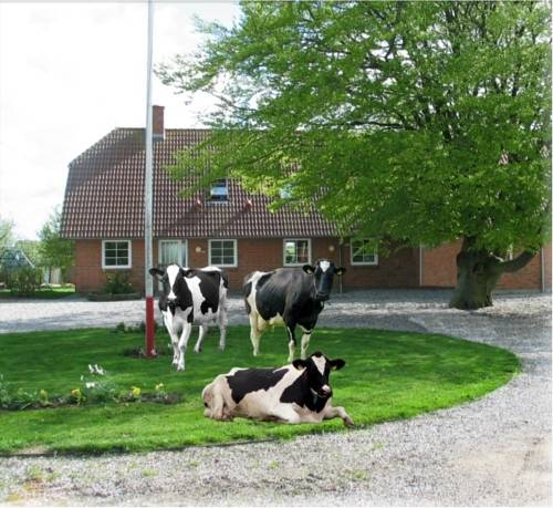 Kibæk Denmark Last Minute Discount Code Booking.com