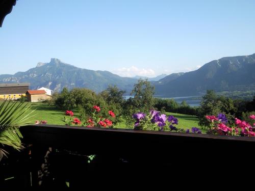 Tiefgraben Austria Last Minute Discount Code Agoda.com